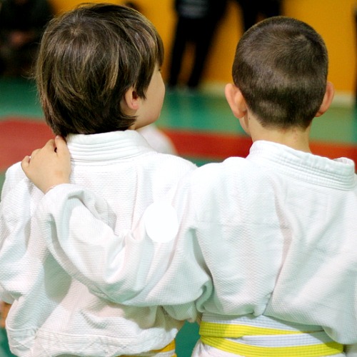 Il judo è uno sport "violento"