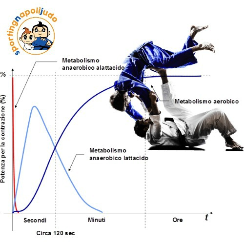 Classific.ne bioenergetica e neuromotoria del judo  - Articoli  - sporting napoli articoli